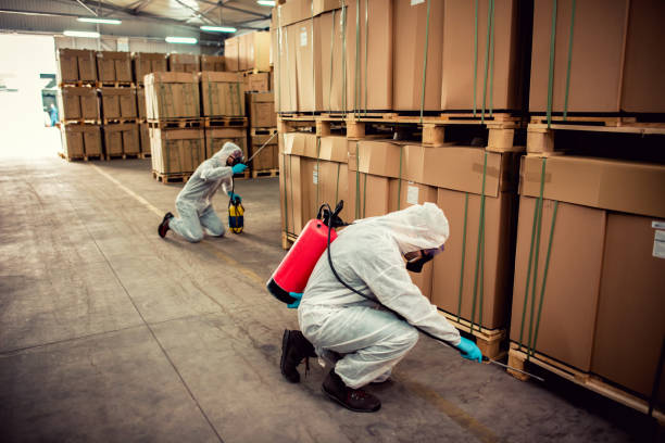 Best Rat Extermination Near Me  in Belleville, WI
