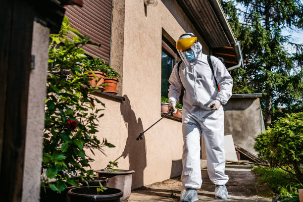 Best Pest Control for Homes  in Belleville, WI