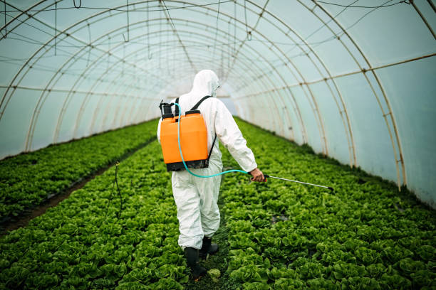 Pest Control for Restaurants in Belleville, WI