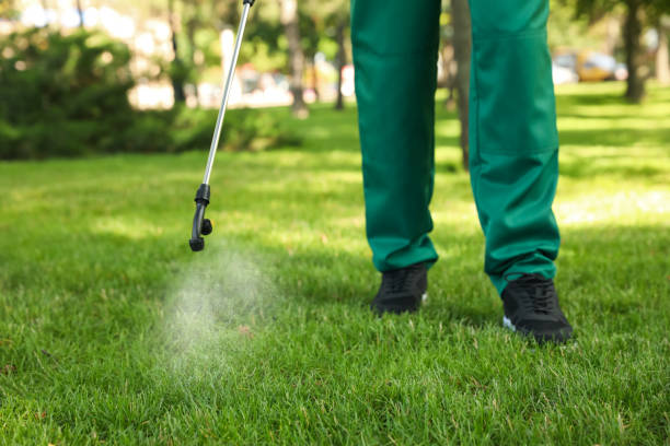 Best Commercial Pest Control Services  in Belleville, WI