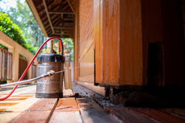 Best Affordable Pest Control Services  in Belleville, WI