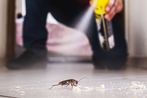 Best Pest Removal Services  in Belleville, WI