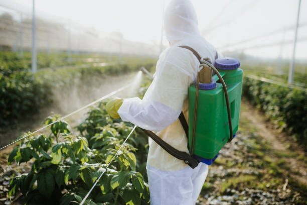 Best Insect Control  in Belleville, WI
